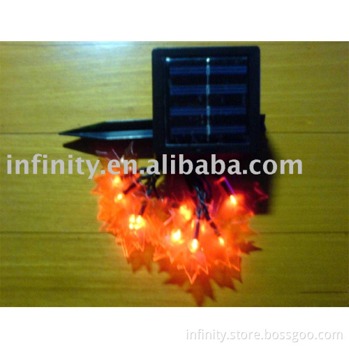 Maple Light Solar lamps (10L)